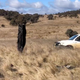 Imagen para el artículo titulado Parece que un pedazo de cohete de Space X se estrelló en una granja australiana